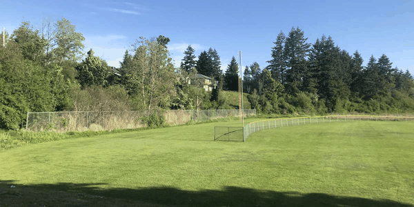 Catstream (Robin's Park)