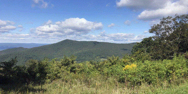 Pass Mountain Overlook