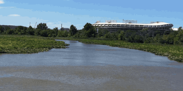 Freshwater Tidal Wetland