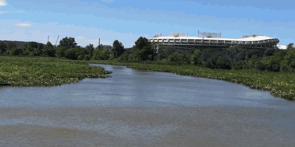 Freshwater Tidal Wetland