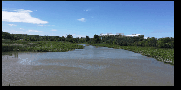 Freshwater Tidal Wetland