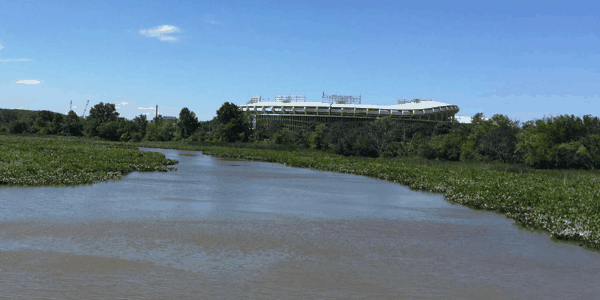 Freshwater Tidal Wetland