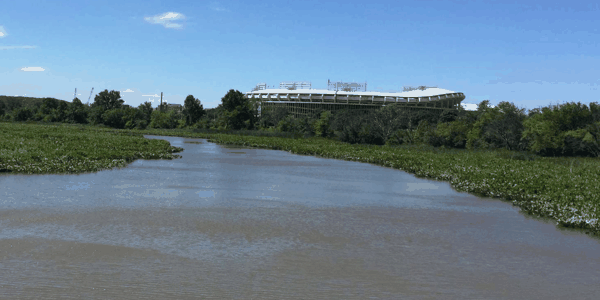 Freshwater Tidal Wetland
